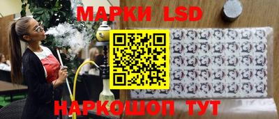 индика Можга