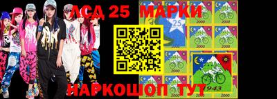 индика Можга