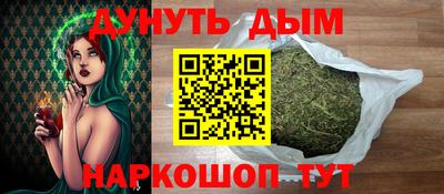 индика Можга