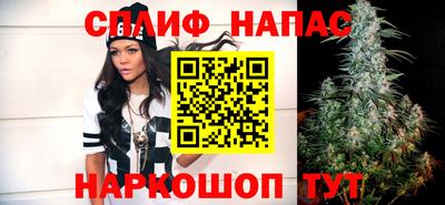 индика Можга