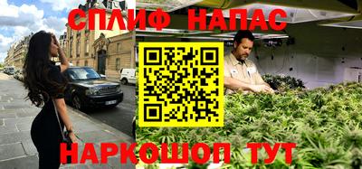 индика Можга