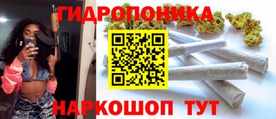индика Можга
