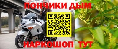 индика Можга
