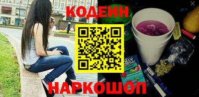 индика Можга